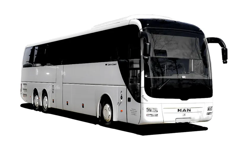 Man Lions Coach — 50 мест